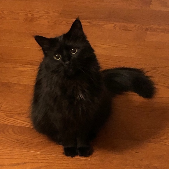 Meet the Posher π - Picture 3 of 4